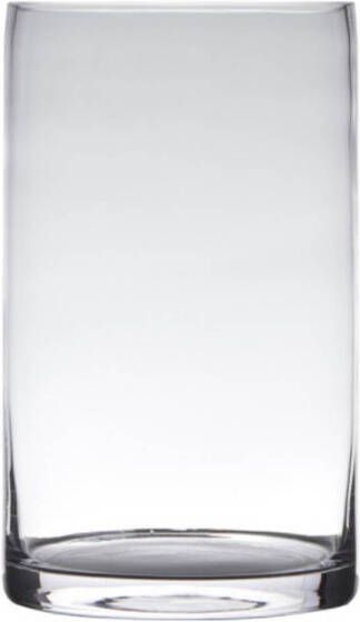 Hakbijl Glass Glazen bloemen cilinder vaas vazen 40 x 15 cm transparant Vazen