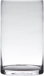 Hakbijl Glass Transparante home-basics Cilinder vorm vaas vazen van glas 40 x 15 cm Bloemen takken boeketten vaas voor binnen gebruik Vazen