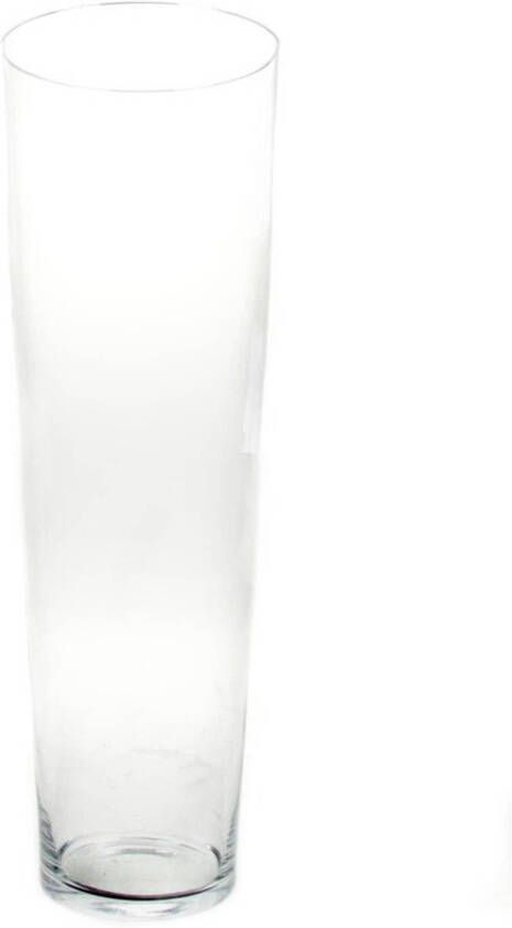 Merkloos Steelbloemen conische vaas glas 60 cm Vazen