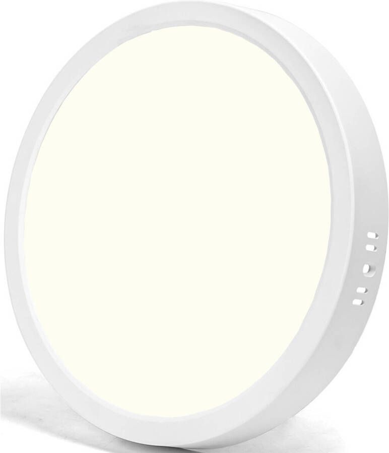 BES LED Paneel Downlight Aigi Natuurlijk Wit 4000K 24W Ø30 Opbouw Rond Wit Flikkervrij