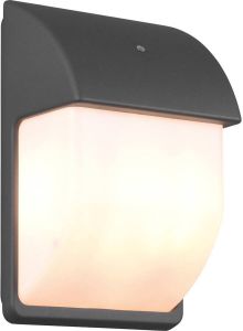 BES LED Tuinverlichting Met Dag En Nacht Sensor Buitenlamp Trion Menaki E14 Fitting Spatwaterdicht Ip44 Ovaal