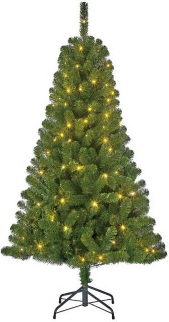 Black Box Charlton kerstboom met 100 LED lampjes H155XD91CM