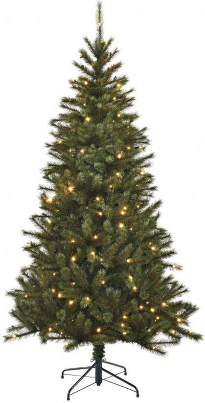 Black Box kerstboom Kingston met ingebouwde verlichting 215 cm