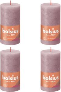 Bolsius Stompkaarsen Shine 4 St Rustiek 130x68 Mm Ash Rose