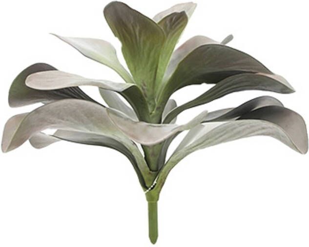 Buitengewoon de Boet blad kalanchoe 28 cm kunstplant