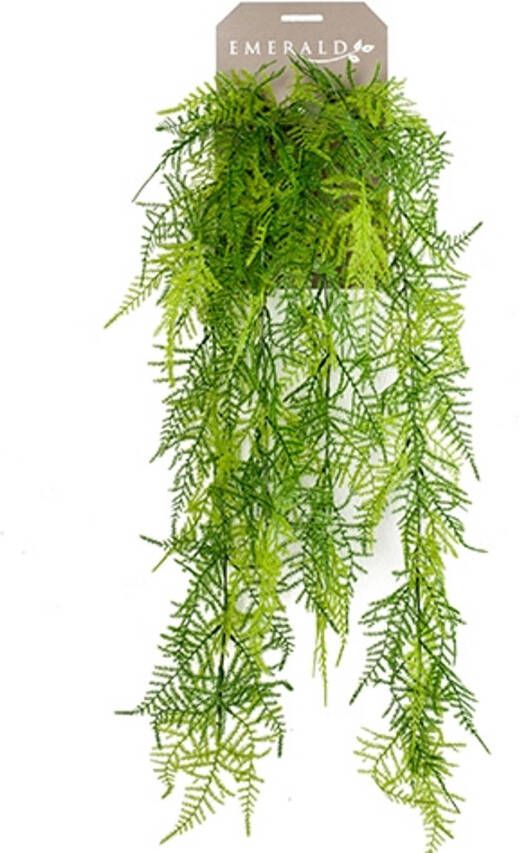 Buitengewoon de Boet Emerald Asparagus plumosus hanging bush x6 80 cm kunstplant