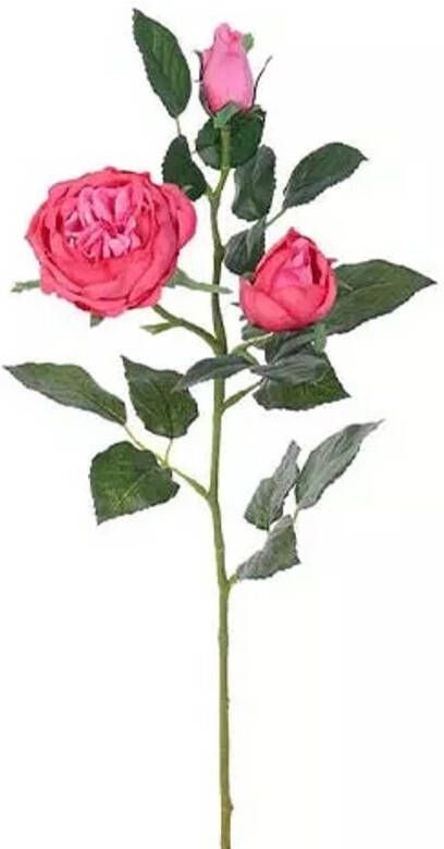 Buitengewoon de Boet Engelse Roos Tak Beauty 64 cm kunstplant