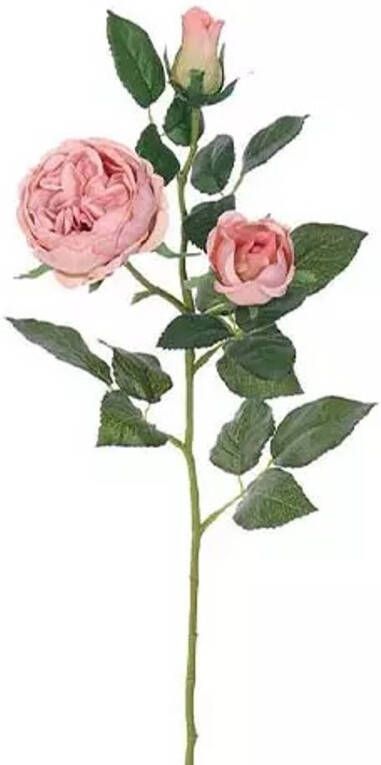 Buitengewoon de Boet Engelse Roos Tak Oud Roze 64 cm kunstplant