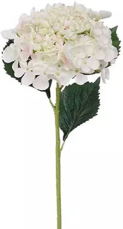 Buitengewoon de Boet Hortensiatak Cream 52 cm kunstplant