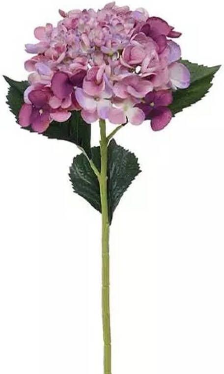 Buitengewoon de Boet Hortensiatak Lila 52 cm kunstplant