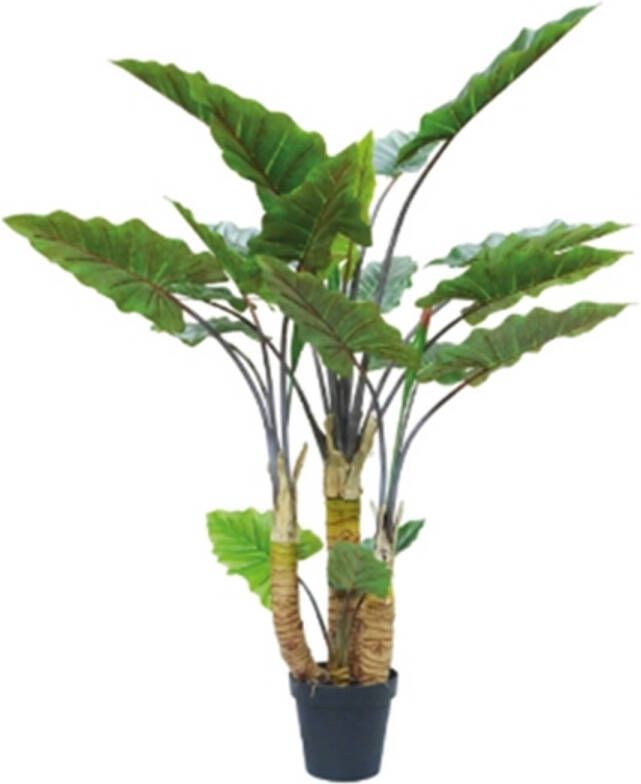 Buitengewoon de Boet Kunstplant Alocasia 4-stam 170 cm