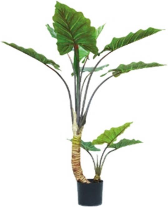 Buitengewoon de Boet Kunstplant Alocasia dikke stam 120 cm