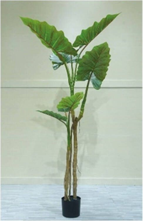Buitengewoon de Boet Kunstplant Alocasia op stam 180 cm