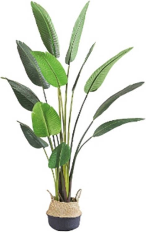 Buitengewoon de Boet Kunstplant Blad Strelitzia Soft 160 cm