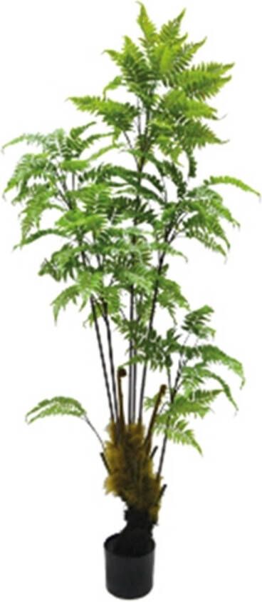 Buitengewoon de Boet Kunstplant Bosvaren lang 180 cm