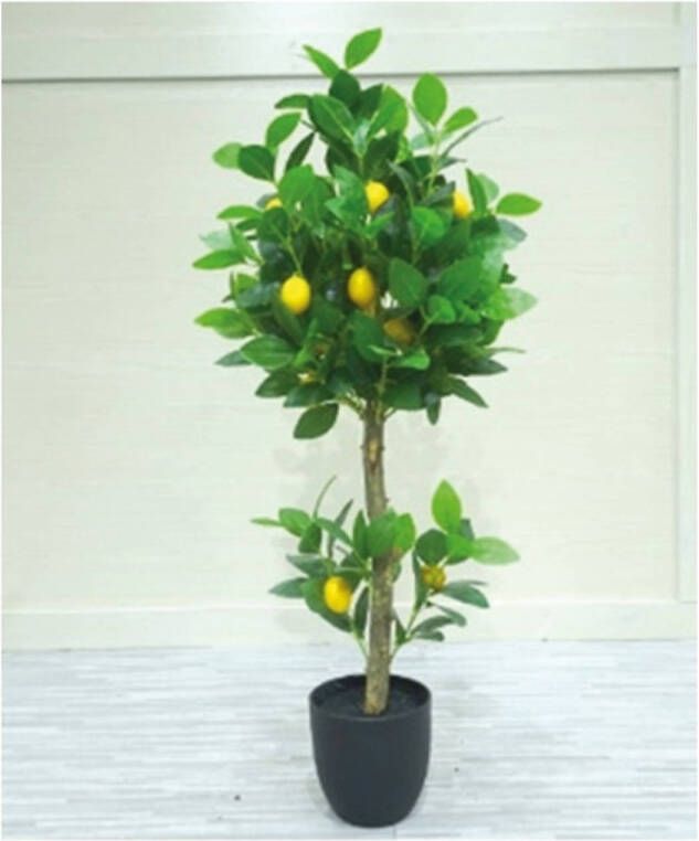 Buitengewoon de Boet Kunstplant Citroenplant 100 cm