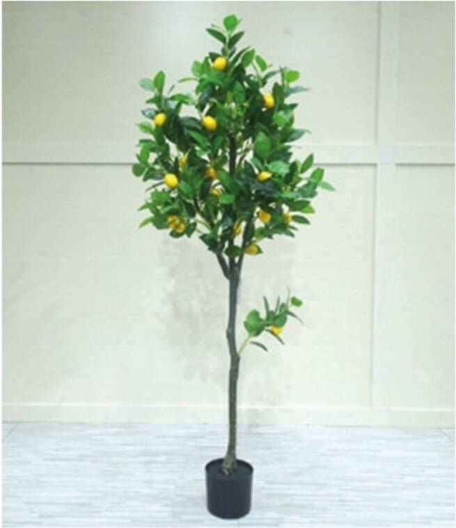 Buitengewoon de Boet Kunstplant Citroenplant 145 cm