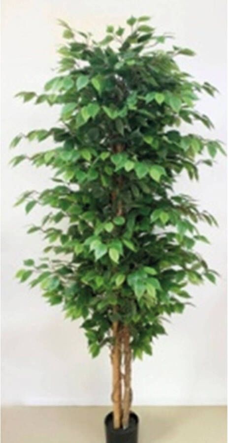 Buitengewoon de Boet Kunstplant Ficus Benjamina 180 cm