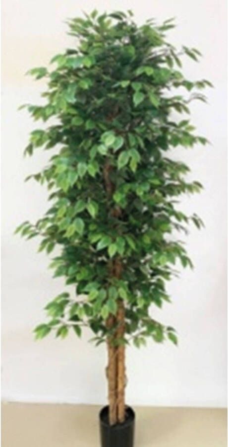 Buitengewoon de Boet Kunstplant Ficus Benjamina 210 cm
