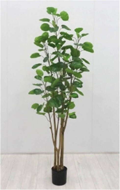 Buitengewoon de Boet Kunstplant Polyscias 110 cm