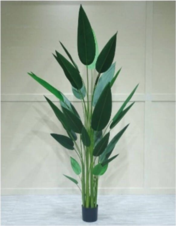 Buitengewoon de Boet Kunstplant Strelitzia smal 160 cm