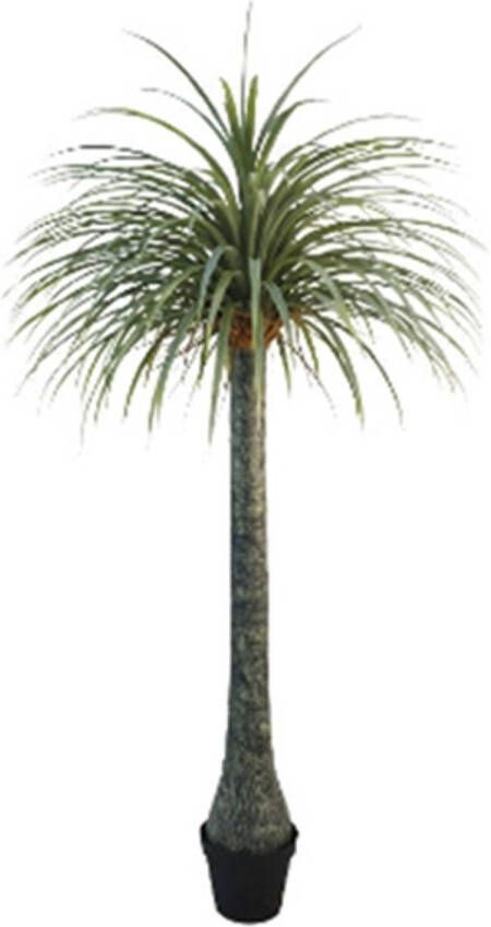 Buitengewoon de Boet Kunstplant Yucca 220 cm