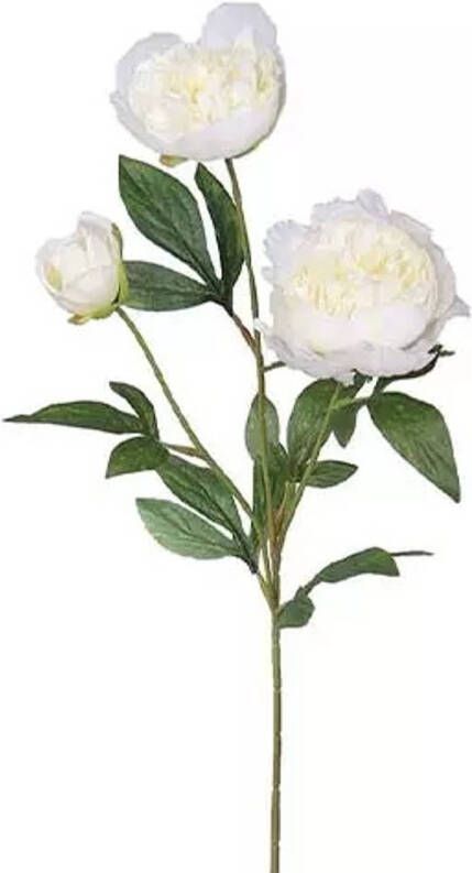 Buitengewoon de Boet Pioenroos Tak Cream 67 cm kunstplant