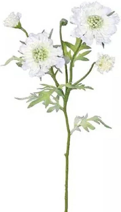 Buitengewoon de Boet Scabiosa Tak Cream 60 cm kunstplant