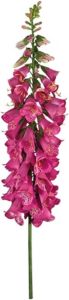 Buitengewoon de Boet Vingerhoedskruid 127 cm Fuchsia kunstplant