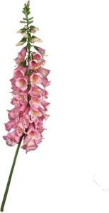 Buitengewoon de Boet Vingerhoedskruid 127 cm Roze kunstplant