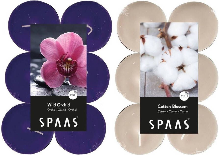 Candles by Spaas geurkaarsen 24x stuks in 2 geuren Blossom Flowers en Wild Orchid geurkaarsen