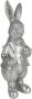 Clayre & Eef Beeld Konijn 22 cm Zilverkleurig Kunststof Woonaccessoires Zilverkleurig Woonaccessoires - Thumbnail 1