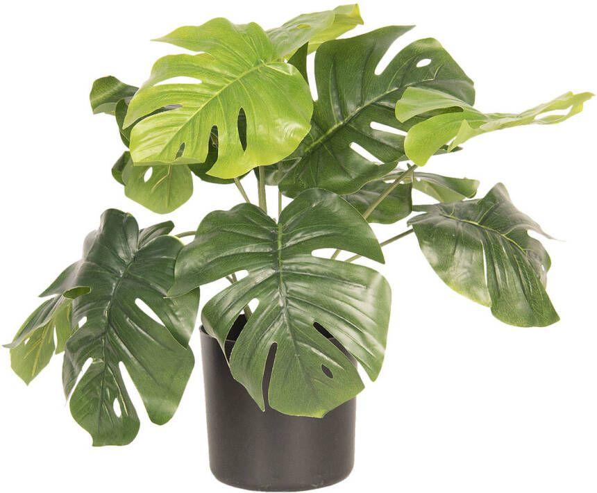 Clayre & Eef Groene Decoratie plant Monstera Deliciosa 42*42*40 cm 6PL0212