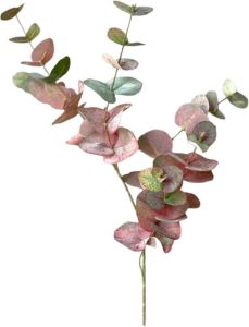 Colours and Green kunsttak eucalyptus red 87 centimeter