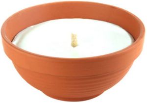 Cosy & Trendy Tuinkaars Maxi In Terracotta Pot (30 Uur)