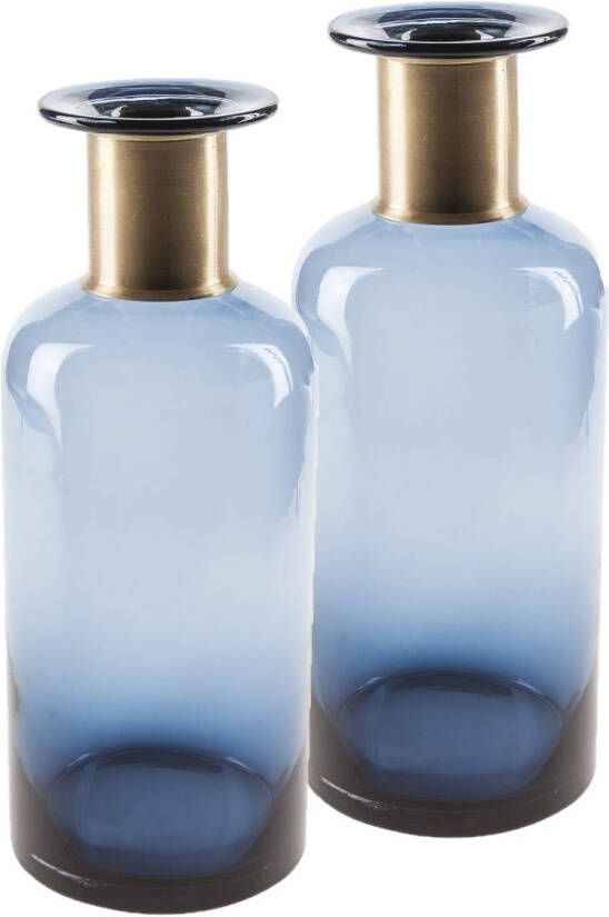 Cosy @ Home 2x stuks flesvazen glas donkerblauw 12 x 30 cm Vazen