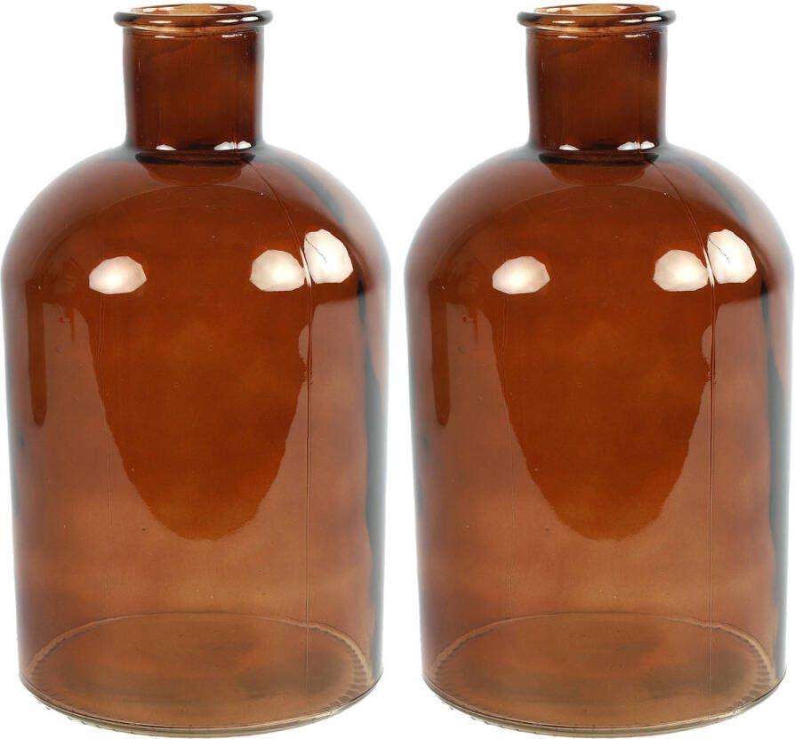 Countryfield 2x stuks Vaas bruin glas apotheker fles vorm D14 x H27 cm Vazen