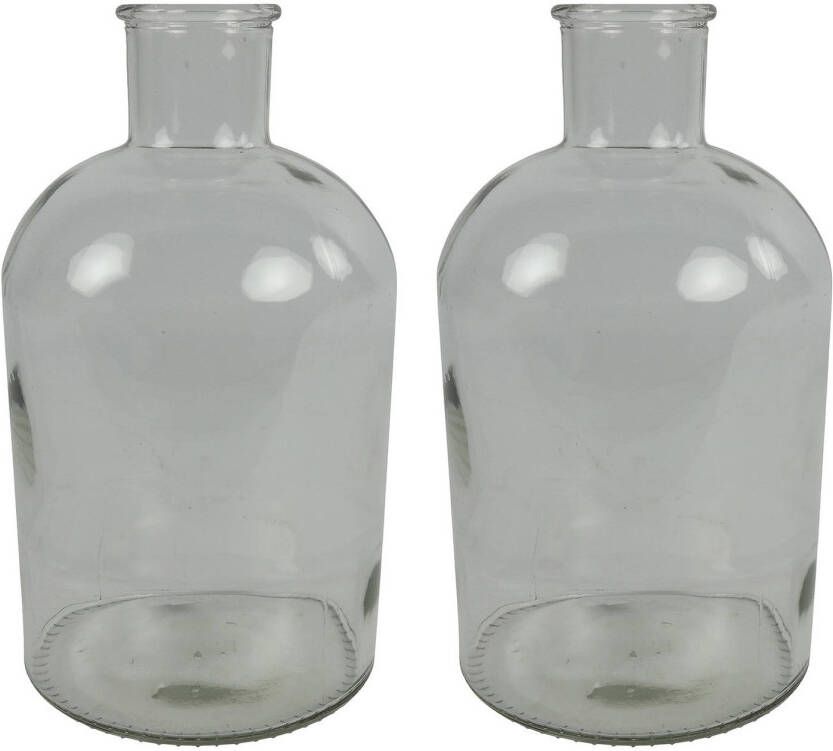 Countryfield 2x Stuks Vaas helder glas Apotheker fles D17 x H31 cm Vazen