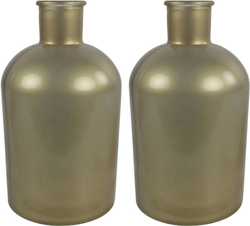 Countryfield 2x Stuks Vaas mat goud glas Apotheker fles vorm D17 x H31 cm Vazen