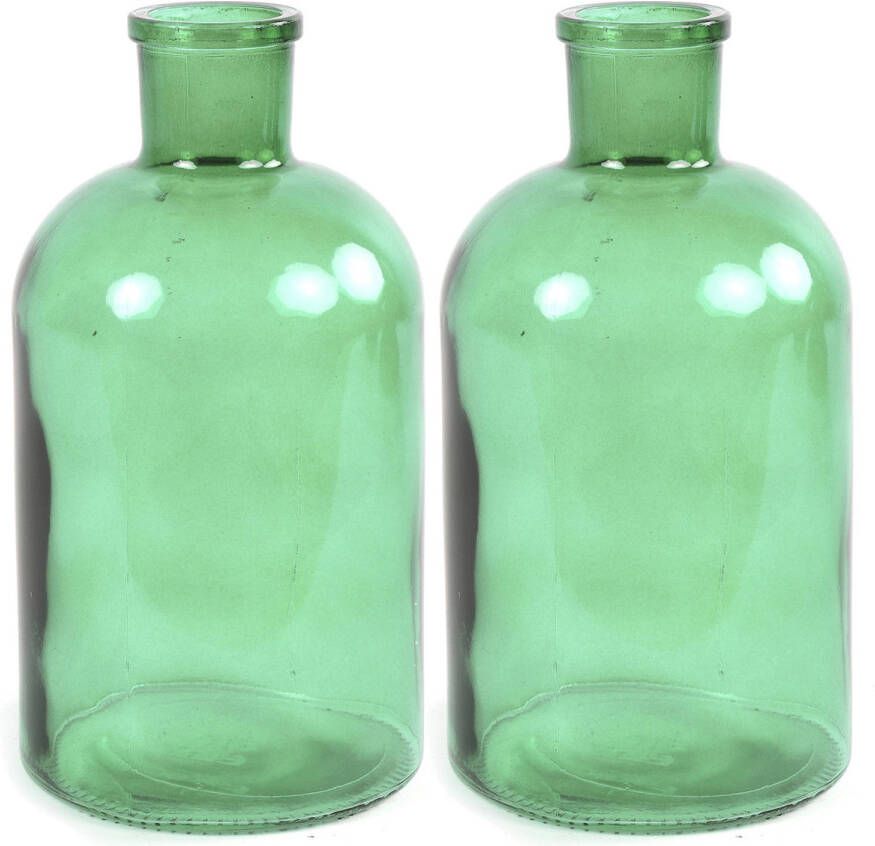 Countryfield 2x Stuks Vaas mintgroen glas apotheker fles vorm D14 x H27 cm Vazen