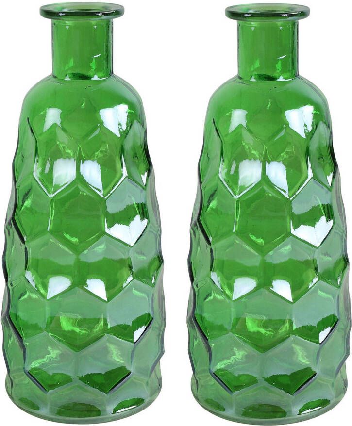 Countryfield Art Deco bloemenvaas 2x groen transparant glas D12 x H30 cm Vazen