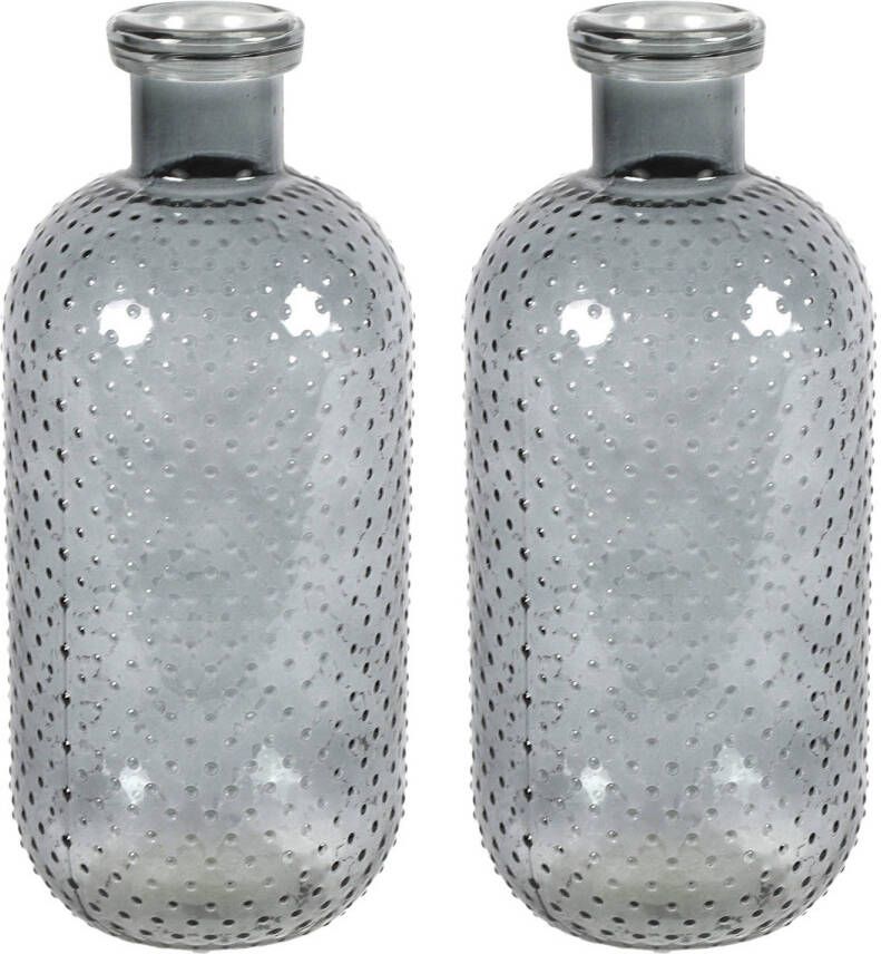 Countryfield Bloemenvaas Cactus Dots 2x donkergrijs transparant glas D15 x H35 cm Vazen