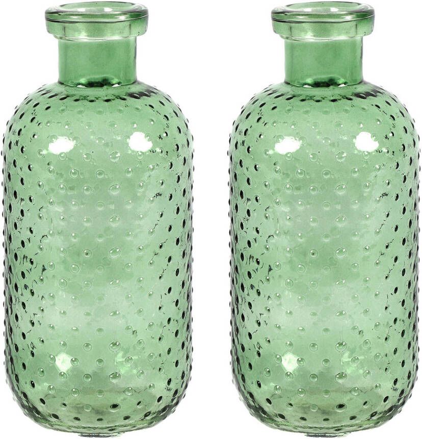 Countryfield Bloemenvaas Cactus Dots 2x groen transparant glas D11 x H24 cm Vazen
