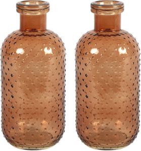 Countryfield Bloemenvaas Cactus Dots 2x lichtbruin transparant glas D11 x H24 cm Vazen