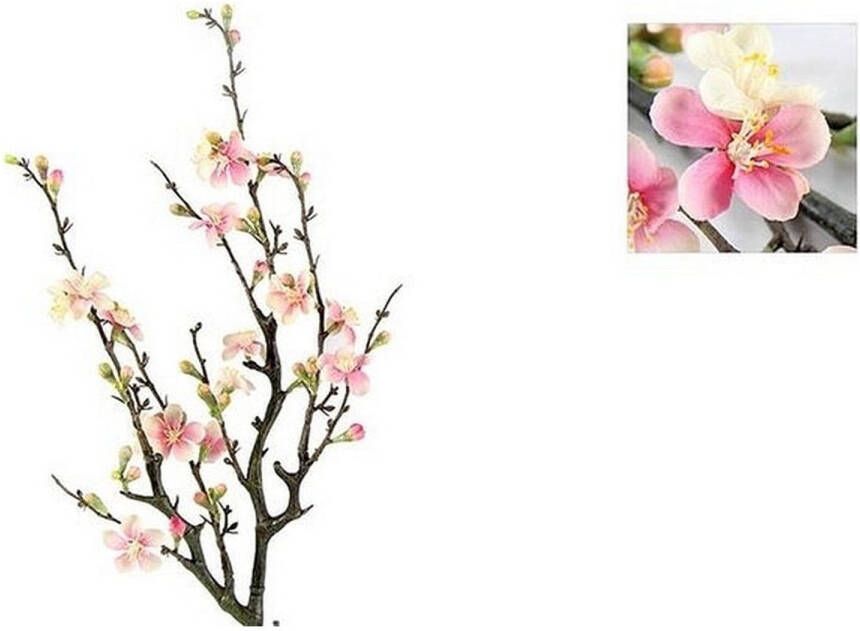 Countryfield Bloesemtak Quince Roze 74 cm