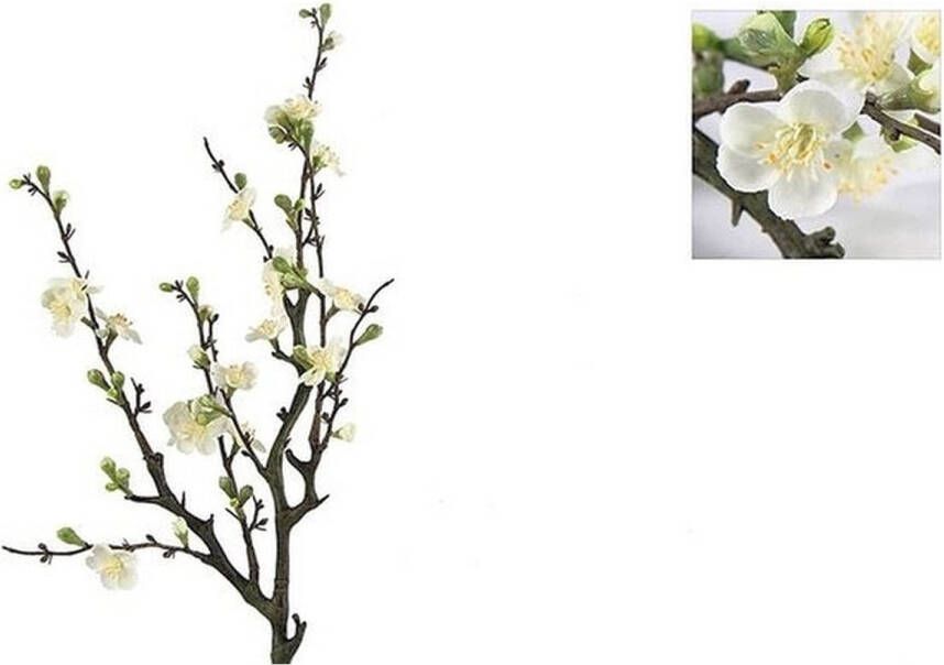 Countryfield Bloesemtak Quince Wit 74 cm