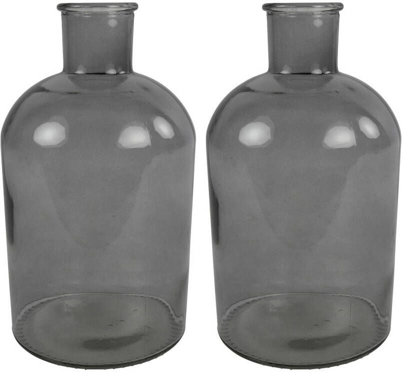Countryfield 2x Stuks Vaas grijs transparant glas Apotheker fles vorm D17 x H31 cm Vazen