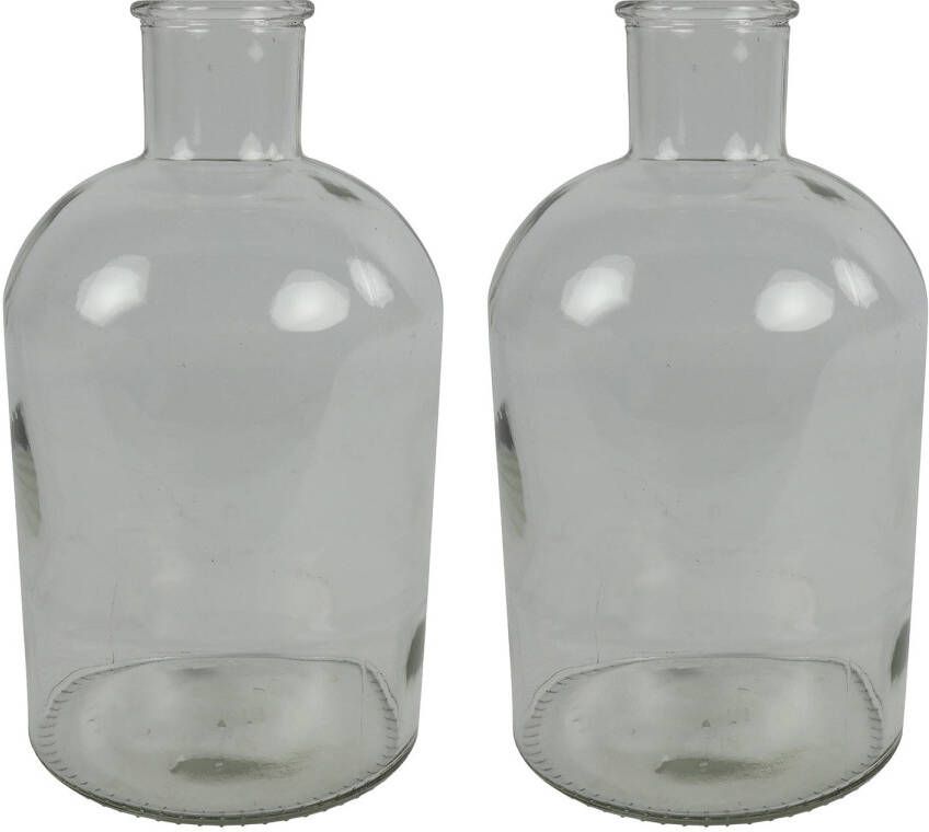 Countryfield vaas 2x stuks helder glas fles D14 x H27 cm Vazen