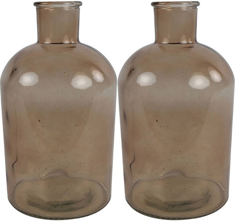 Countryfield 2x Stuks Vaas lichtbruin transparant glas Apotheker fles vorm D17 x H31 cm Vazen