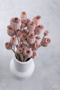 Couronne bundeltje gedroogde bloemen papaver pink